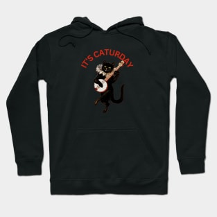 It's Caturday Hoodie